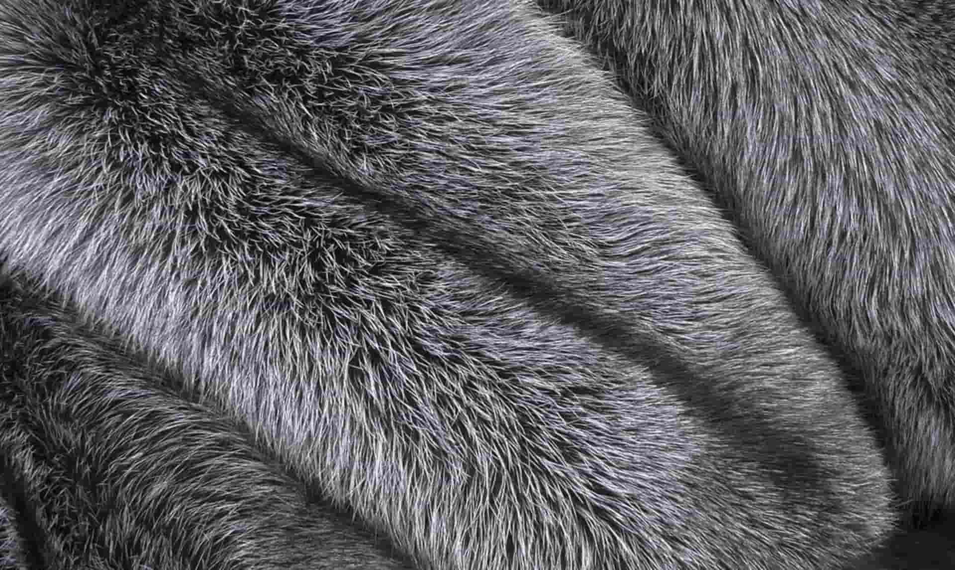 Мех: профессиональный гид по выбору и проверке натуральных изделий - 2