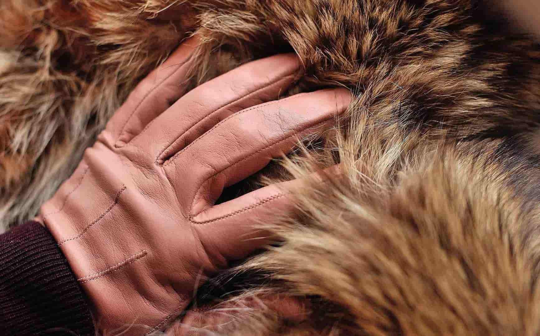 Меховые изделия: профессиональный гид по выбору и покупке в современном мире моды - 2