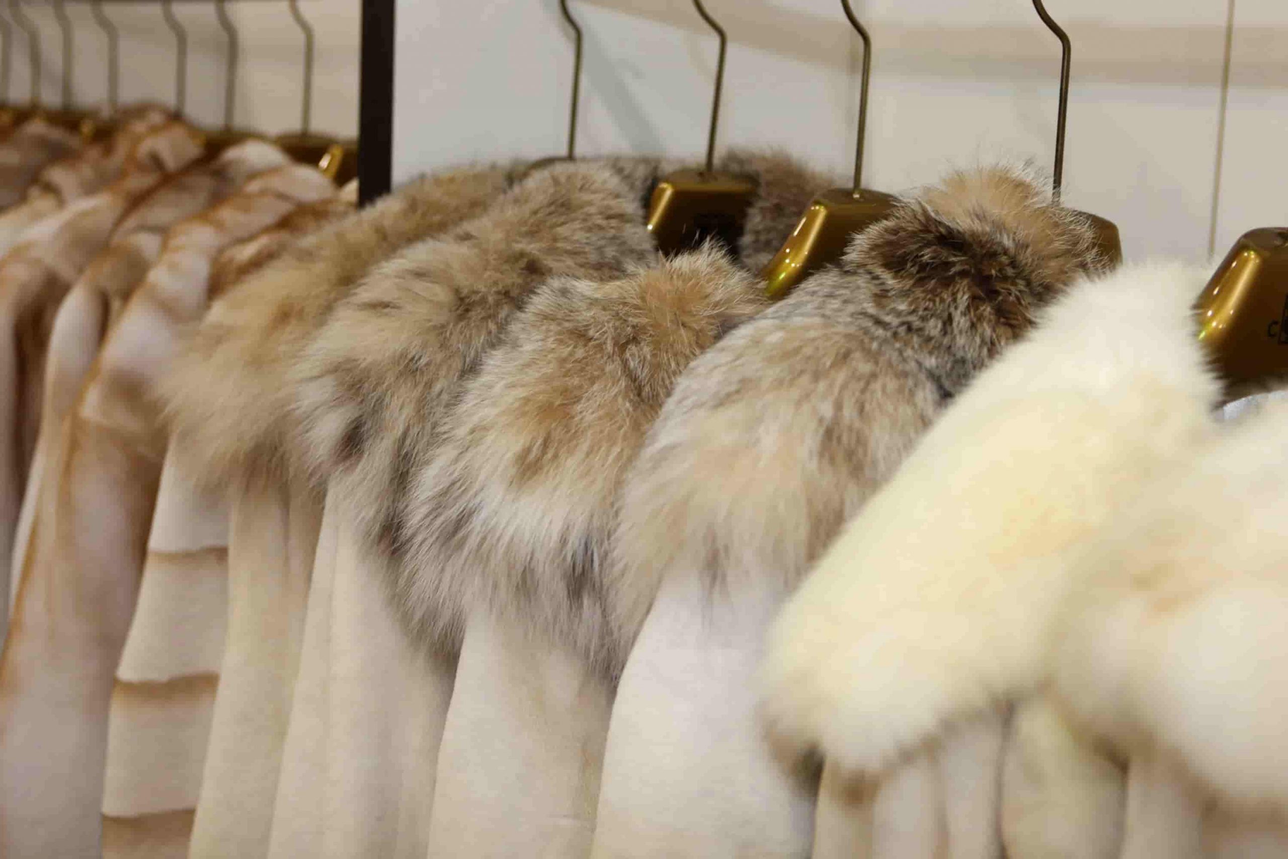 Меховые изделия: профессиональный гид по выбору и покупке в современном мире моды - 1